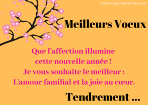 Bonne année Joyeux Noël à une famille et message de voeux à sa famille